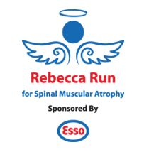 Back to the home page